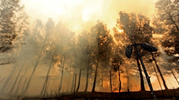 Biotecnología tradicional e historia de la música