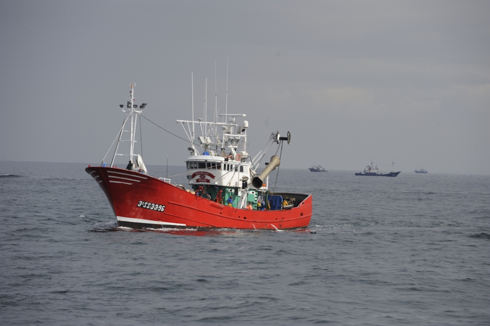 Arrainontzia euskal uretan. Argazkia: CC BY-3.0-ES 2012/EJ-GV/Irekia-Gobierno Vasco/Mikel Arrazola