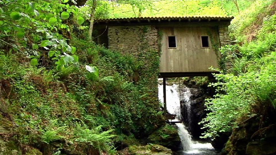 Altzo (Gipuzkoa). Argazkia: Txomin Rezola