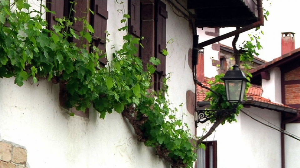 Altzo (Gipuzkoa). Argazkia: Txomin Rezola