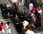 Fifth running of the bulls of the 2012 San Fermin festival