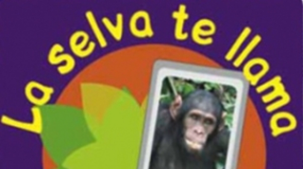 Movilízate por la Selva, Mendi Film Festival y arte y revolución en Otras Rutas