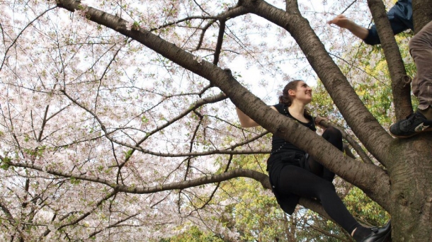 'Universal Spirit', espectáculo nocturno con DJs y la violinista Nerea Alberdi