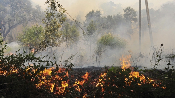 Cuatro fallecidos y 1.300 desalojados en los incendios de Girona