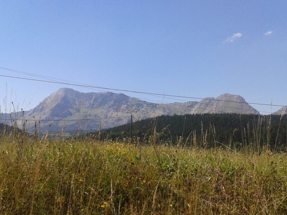 Dida Fresh: udako argazkiak