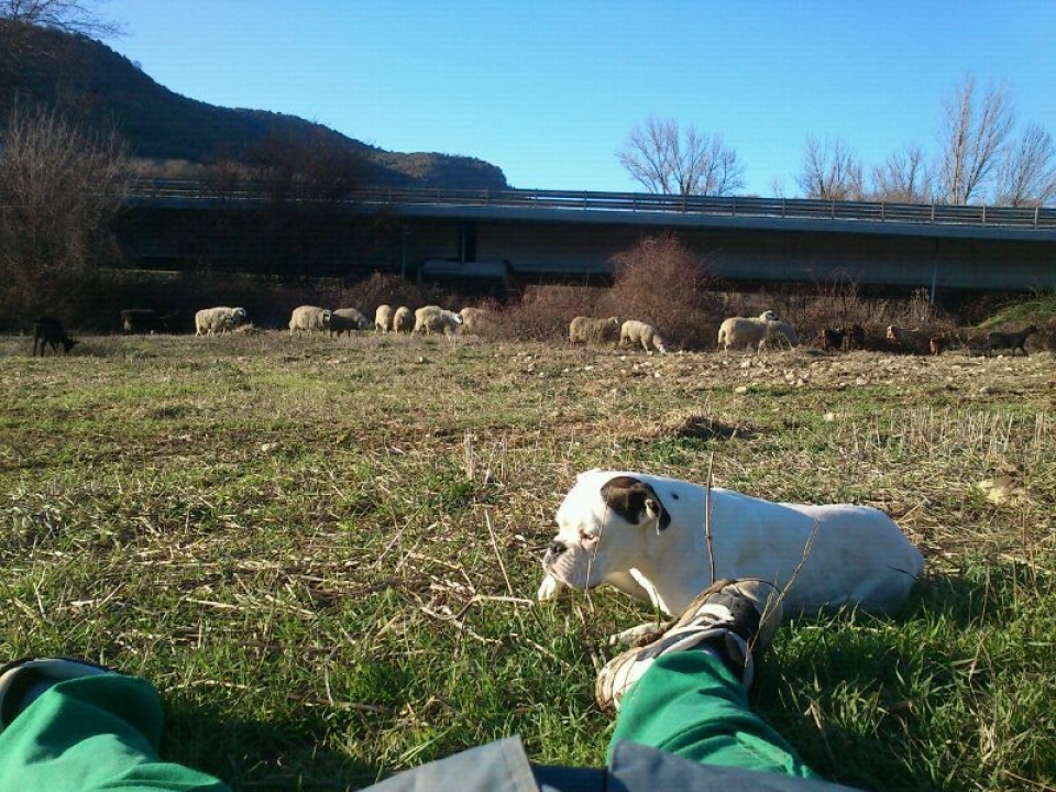 Dida Fresh: udako argazkiak