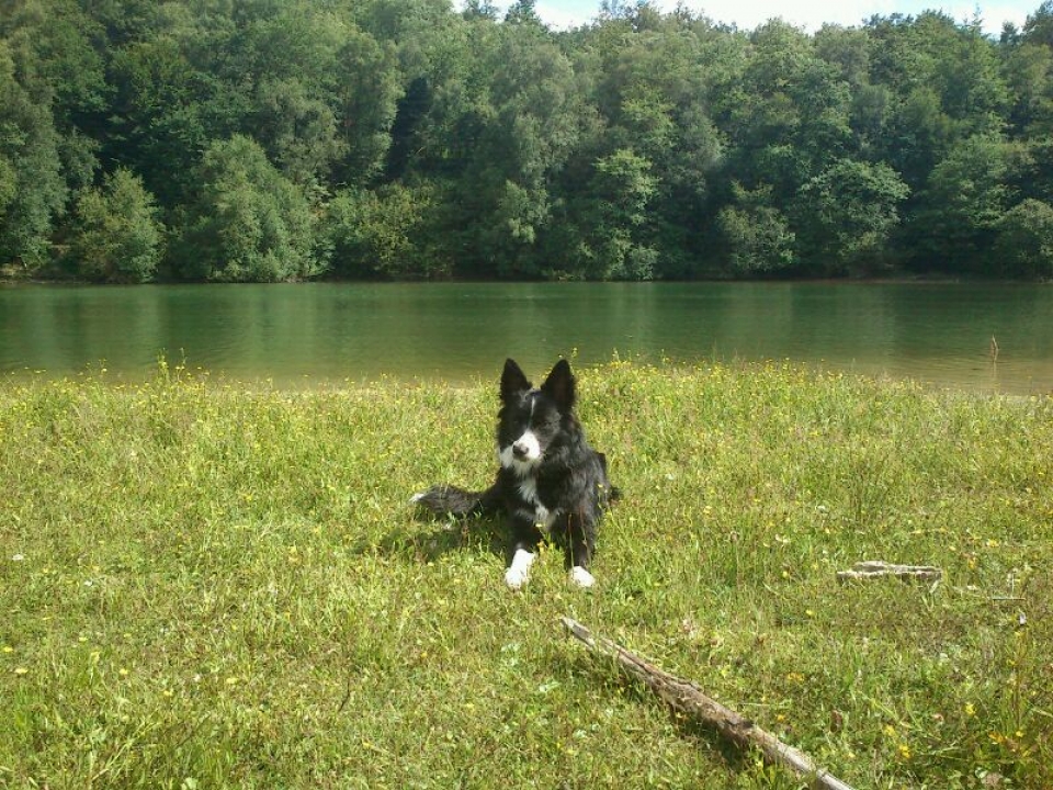 El perro de Antton, Albian 