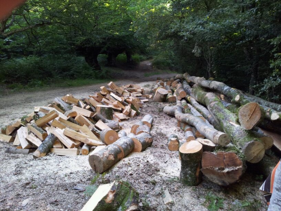 Negurako egurra mozten