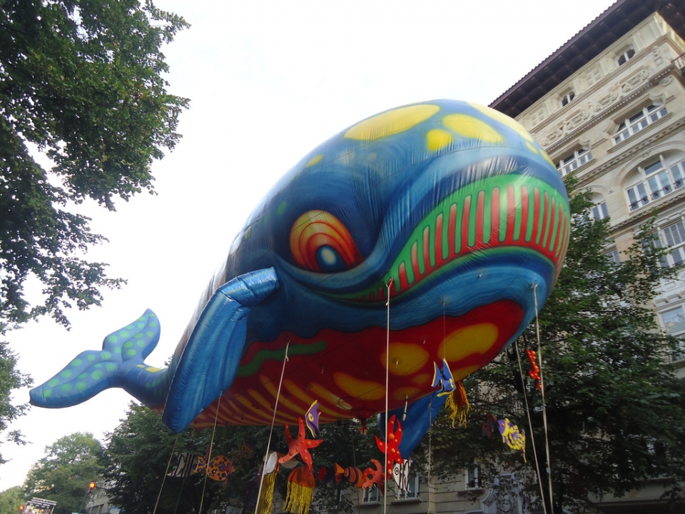 Argazkia: Udane Errasti