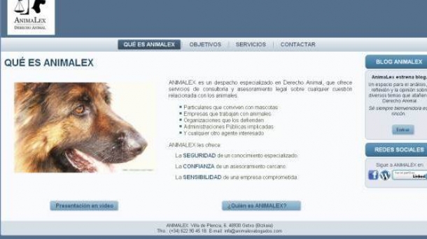 Txoko de las Emociones: En 'buena onda', y apertura de AnimaLex Abogados