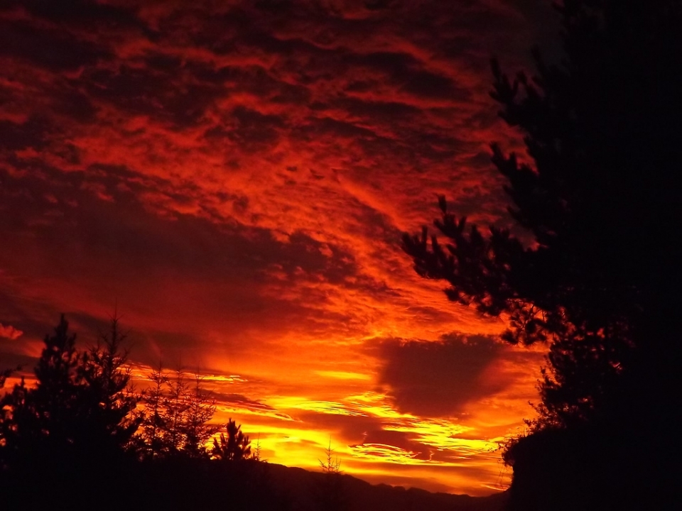 Argazkia: Andoni Aza