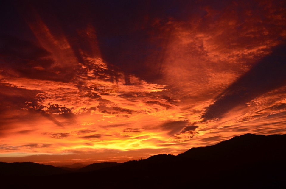 Argazkia: Javier Bastida