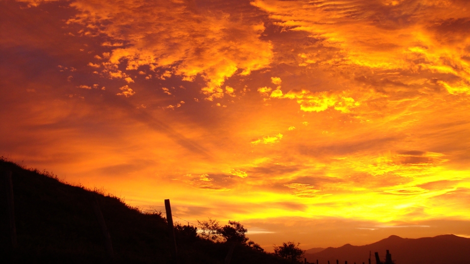 Argazkia: Xanet Goenaga