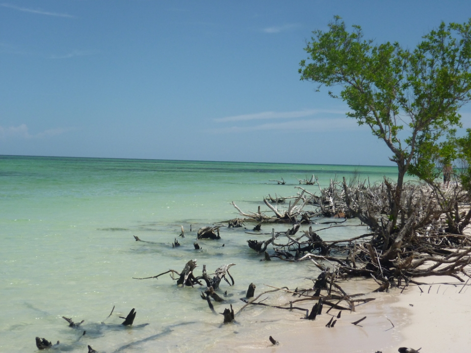 Kuba. Argazkia: June Etxeberria