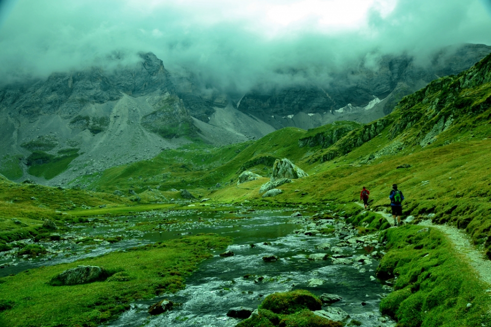 Pirinioak. Argazkia: Enrique López