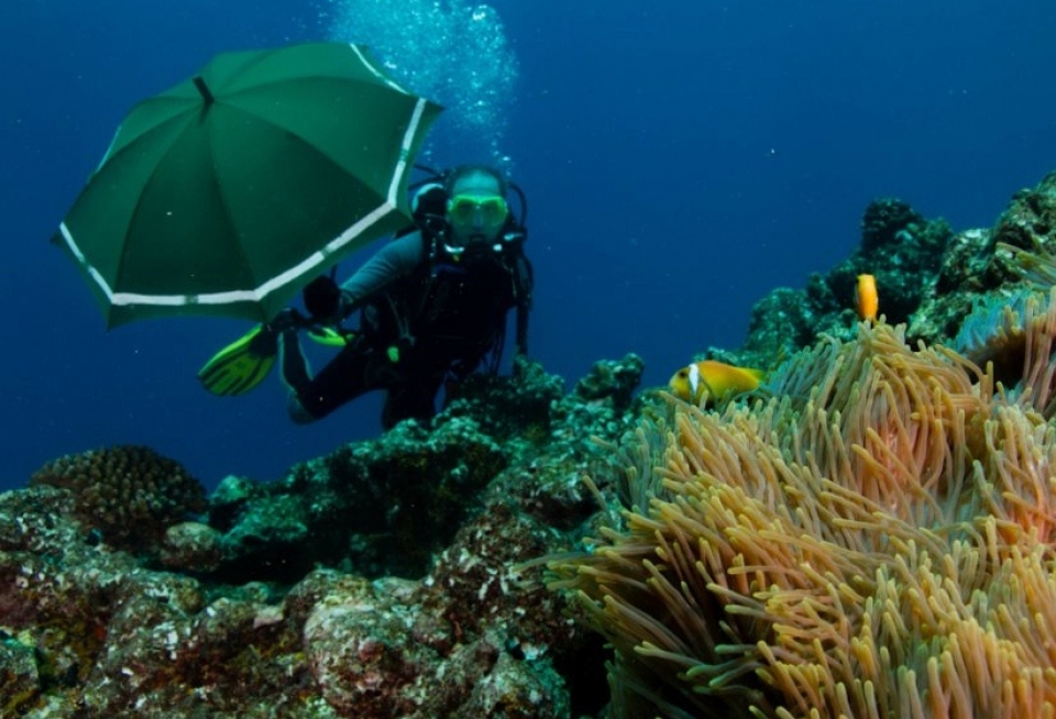 Maldivas. Argazkia: Jose Alvareda