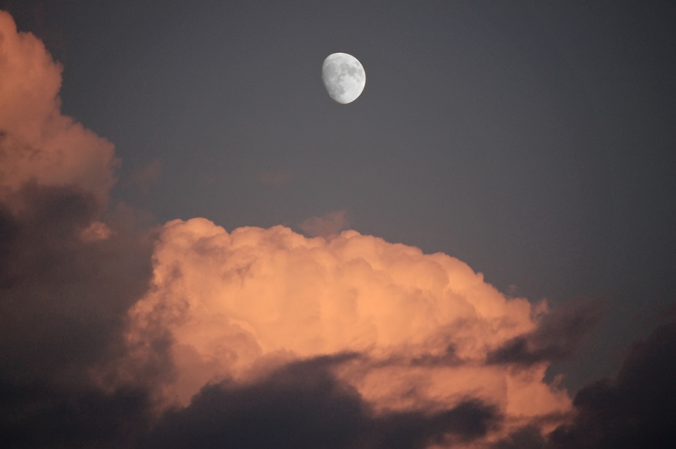 Donostia. Juan Sanchez 