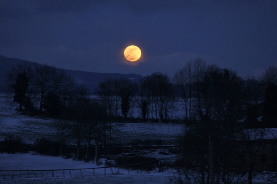 Izarra. Celia Cuadra