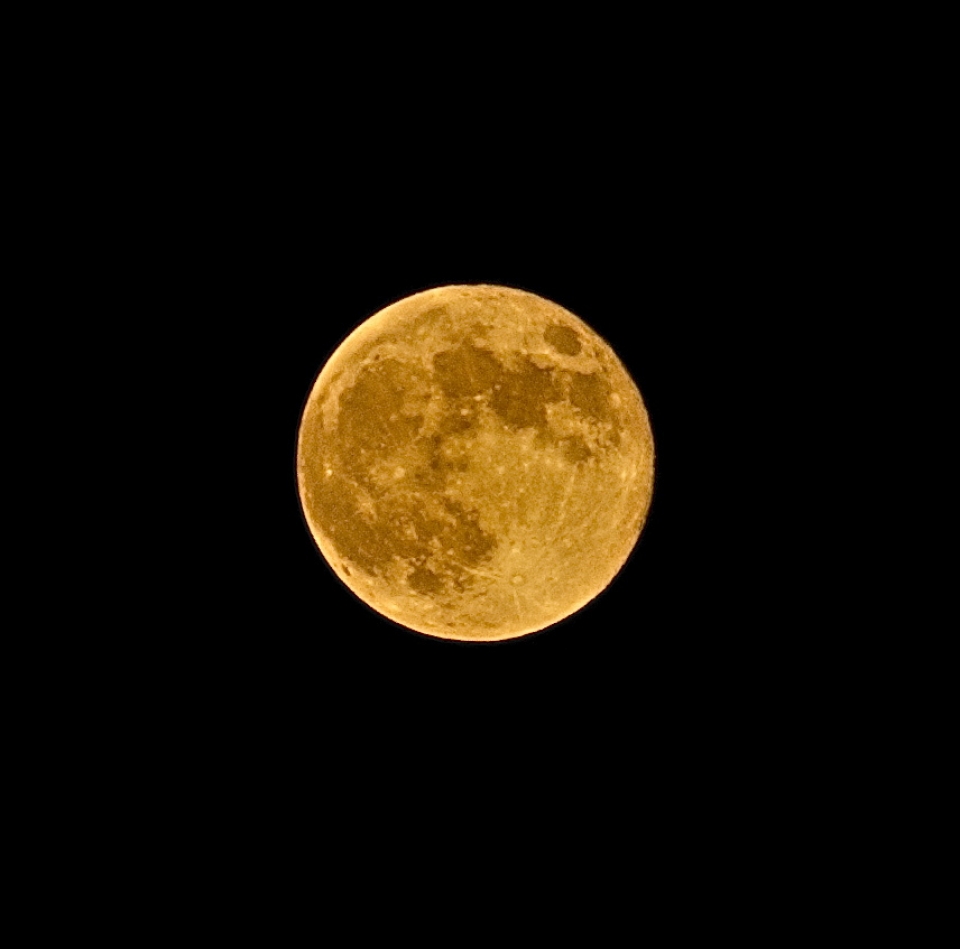 Zarautz. Lorentxo Portularrume