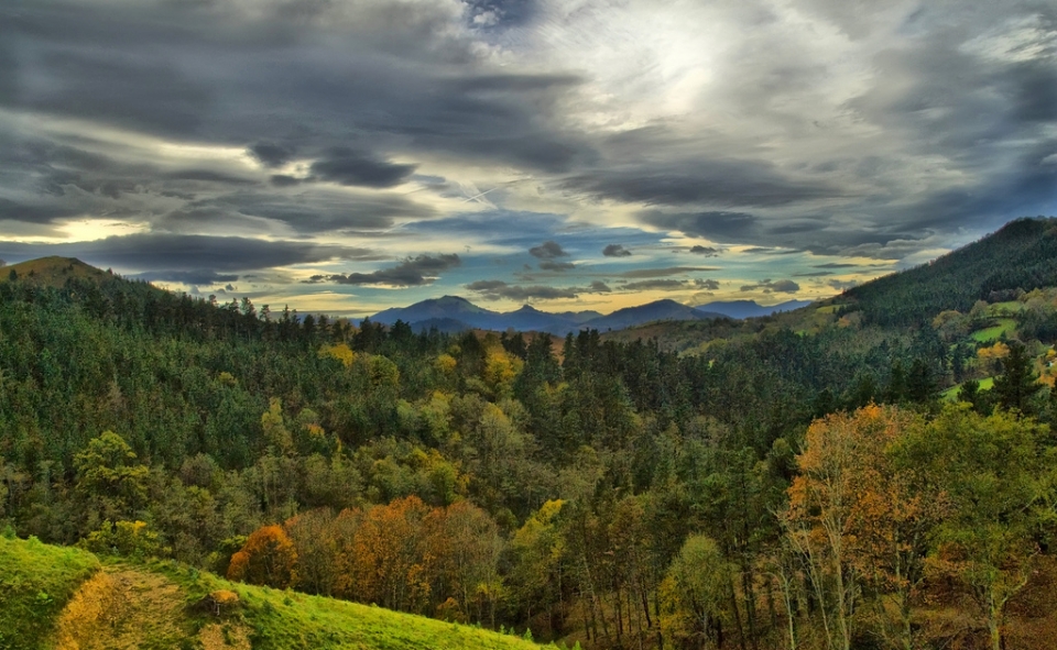 Juan Sanchez. Errenteria