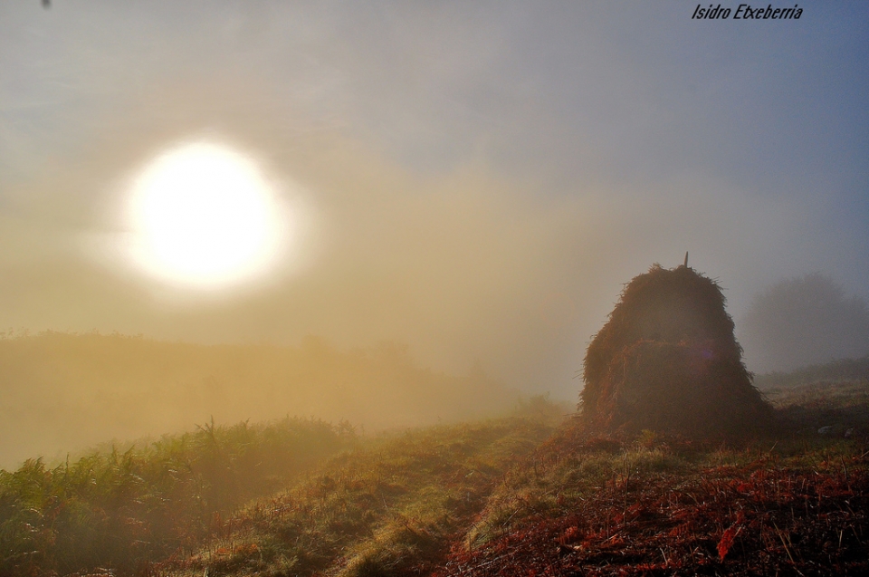 Isidro Etxeberria. Lesaka
