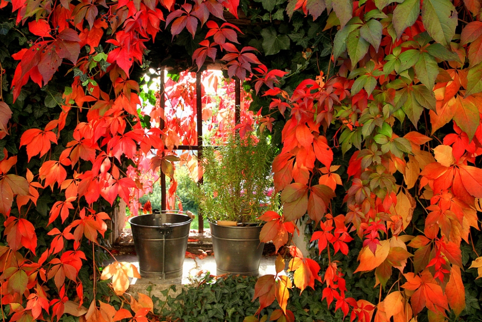 Alicia Aznarez. Ameskoabarrena