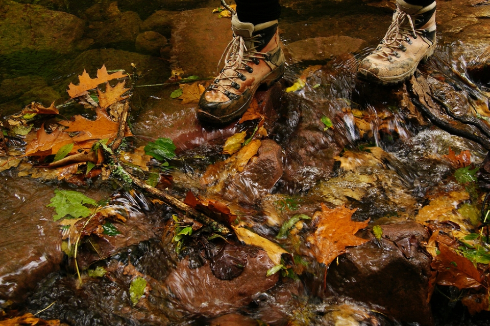 Bego Arizmendi. Baztan