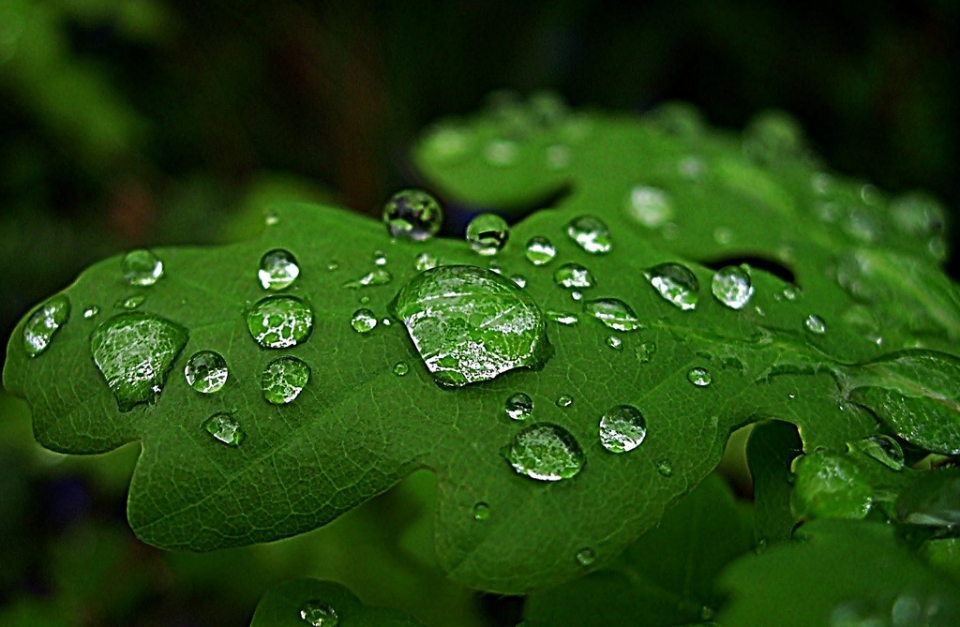 Galdakao. Jose Luis Cazallas