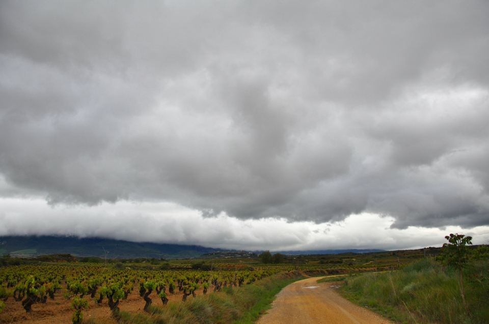 Eltziego. Koldo Palacios