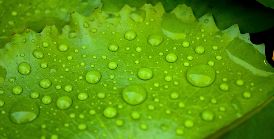 Donostia. Juan Sanchez