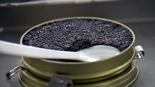 Caviar navarro