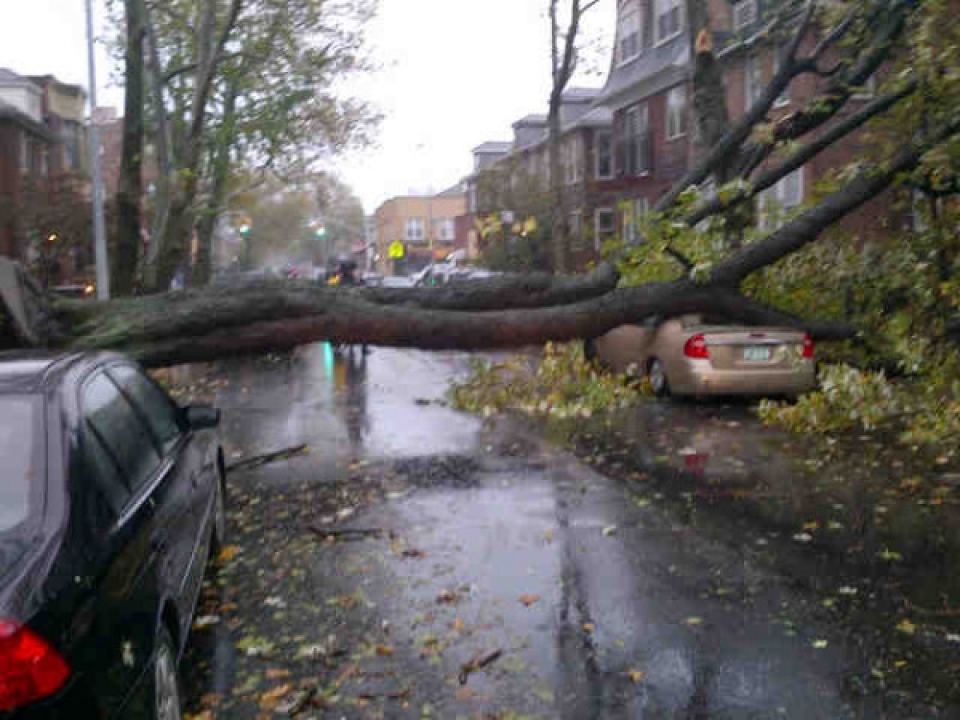 Muchos árboles no han soportado los fuertes vientos. (Foto: @UncleChaim)