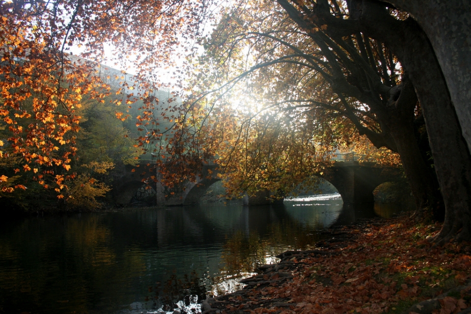 Arga (Iruña). Isidoro Francisco Arbizu