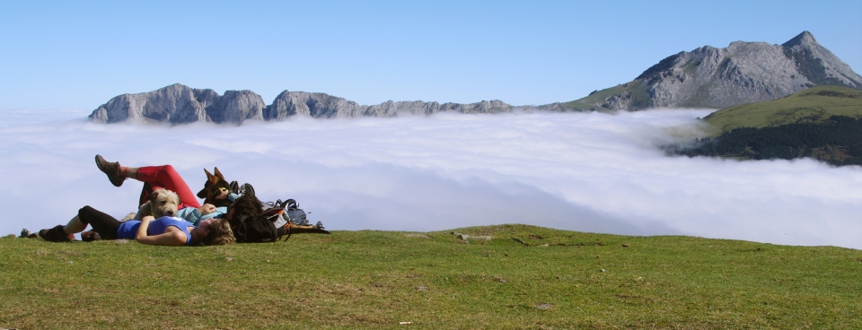 Sabigain. Bittor Gorosabel