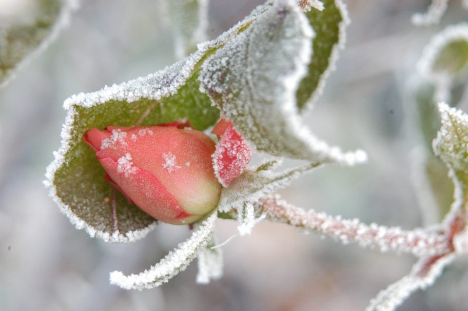 Añorbe. Birginia Hernandorena