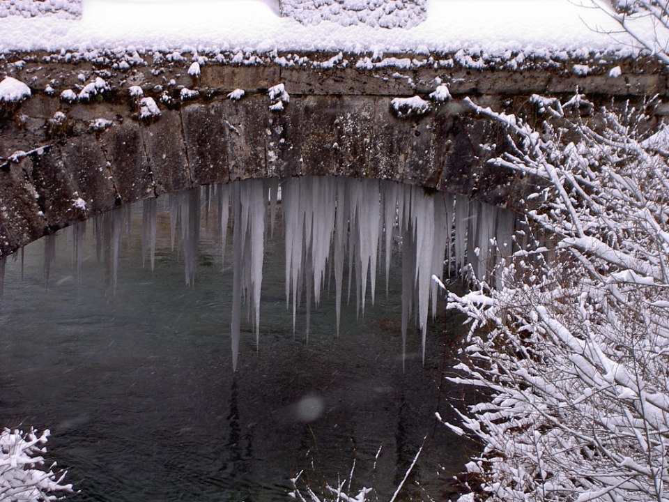 Isaba. Eugenia Lopez
