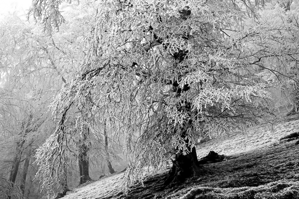 Baztan. Juan Lameirinhas