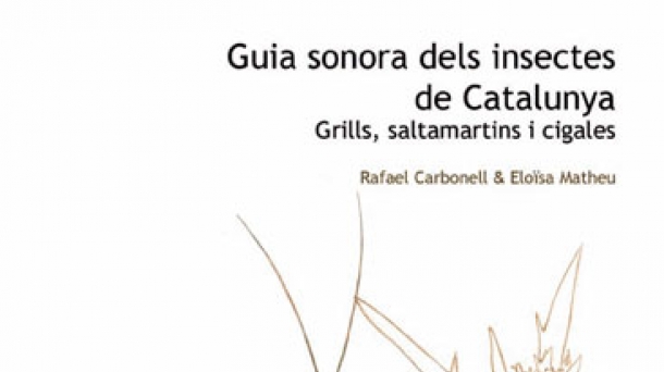 Los insectos se comunican mediante los sonidos; ¿Podemos entender lo que dicen?