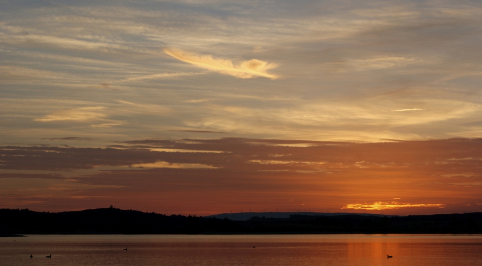 Aitor Ibargutxi. Barrundia