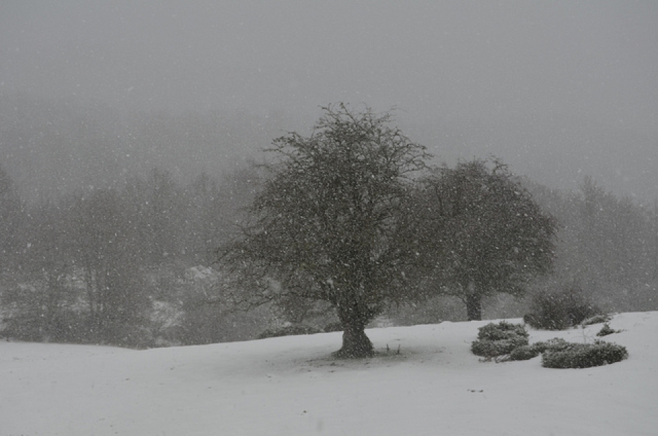 Aralar. Photo: Txomin Rezola
