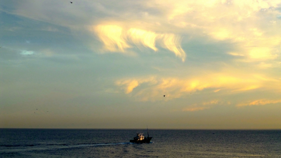 Mikel Gasca. Donostia