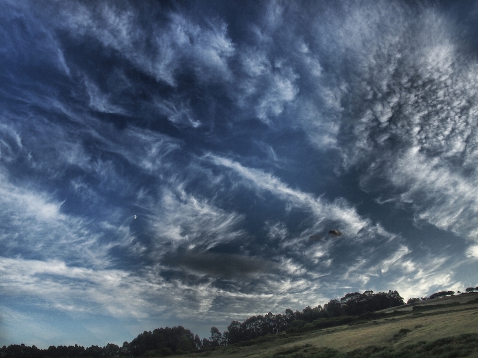 Felix Arce. Portugalete