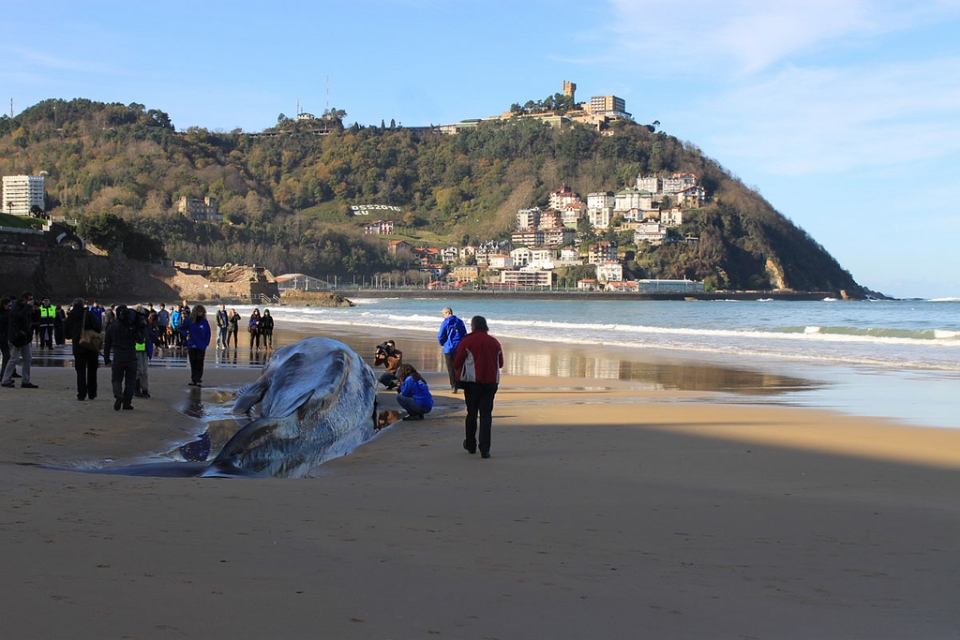 Argazkia: Luis Dadebat