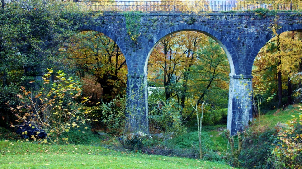 Leiza: Foto: Vicente Guinea