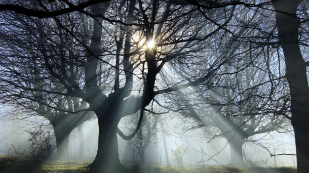 Pello Zabalak aste honetako eguraldi iragarpena egin digu