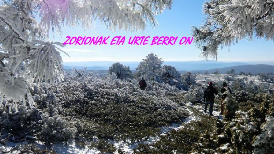 Argazkia: Yolanda Villaverde