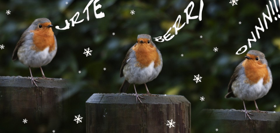 Argazkia: Imanol Aragon