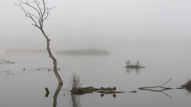 Descubriendo el anillo verde
