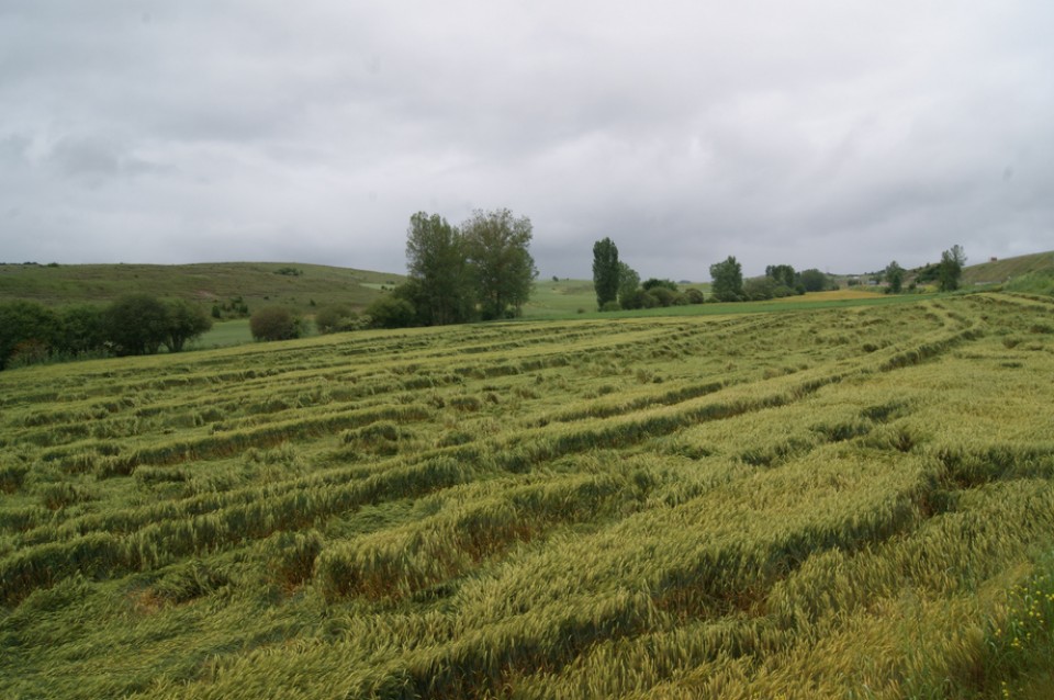 Foto: Aitor Ibargutxi