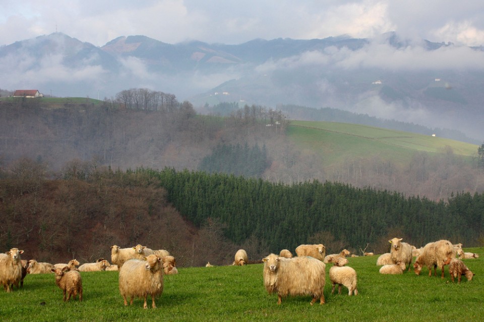 Foto: Lázaro González